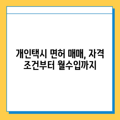 충청남도 아산시 선장면 개인택시 면허 매매 가격| 오늘 시세 확인 & 자격조건, 월수입, 양수교육 정보 | 번호판, 넘버값, 매매 가이드