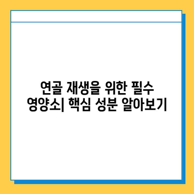 무릎 연골 건강 지키는 영양제| 효과적인 제품 추천 & 선택 가이드 | 무릎 통증, 관절 건강, 연골 재생