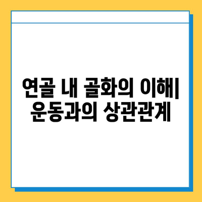 연골 내 골화와 운동| 안전하고 효과적인 운동 가이드 | 연골 내 골화, 운동 부상 예방, 운동 루틴