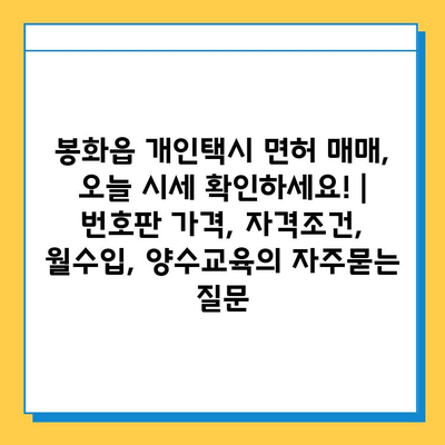 봉화읍 개인택시 면허 매매, 오늘 시세 확인하세요! | 번호판 가격, 자격조건, 월수입, 양수교육