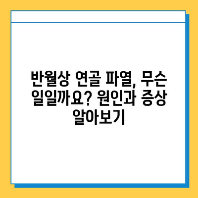 무릎 굽힘 시 통증? 반월상연골파열 의심! 원인과 치료법 완벽 가이드 | 무릎 통증, 반월상 연골 파열, 치료, 운동, 재활