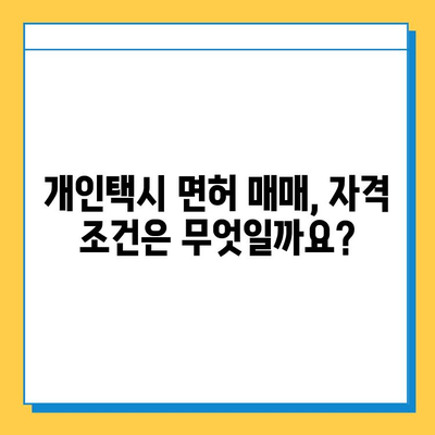 진천군 광혜원면 개인택시 면허 매매| 오늘 시세 & 자격조건 | 넘버값, 월수입, 양수교육