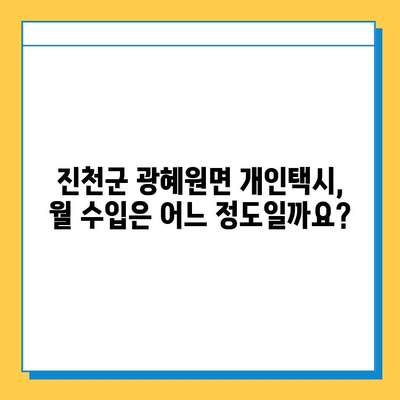 진천군 광혜원면 개인택시 면허 매매| 오늘 시세 & 자격조건 | 넘버값, 월수입, 양수교육