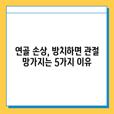 연골 손상 방치하면? 놓치면 안 될 심각한 결과 5가지 | 연골 재생, 관절 건강, 통증 완화