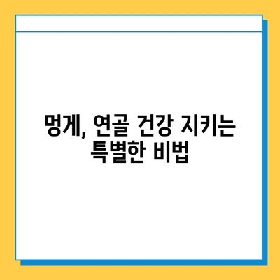 멍게의 놀라운 힘| 연골 건강을 위한 특별한 영양제 | 멍게 효능, 연골 강화, 관절 건강, 영양 정보