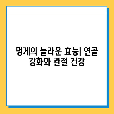 멍게의 놀라운 힘| 연골 건강을 위한 특별한 영양제 | 멍게 효능, 연골 강화, 관절 건강, 영양 정보