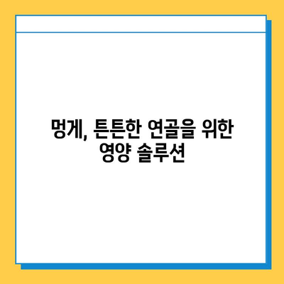 멍게의 놀라운 힘| 연골 건강을 위한 특별한 영양제 | 멍게 효능, 연골 강화, 관절 건강, 영양 정보