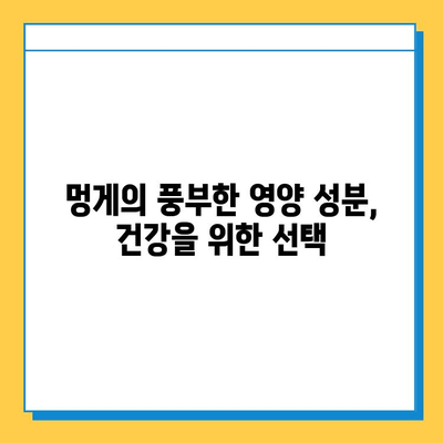 멍게의 놀라운 힘| 연골 건강을 위한 특별한 영양제 | 멍게 효능, 연골 강화, 관절 건강, 영양 정보