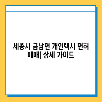 세종시 금남면 개인택시 면허 매매 가격| 오늘 시세, 넘버값, 자격조건, 월수입, 양수교육 | 상세 정보