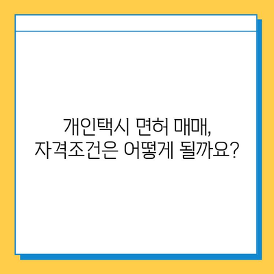 세종시 금남면 개인택시 면허 매매 가격| 오늘 시세, 넘버값, 자격조건, 월수입, 양수교육 | 상세 정보