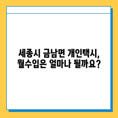 세종시 금남면 개인택시 면허 매매 가격| 오늘 시세, 넘버값, 자격조건, 월수입, 양수교육 | 상세 정보