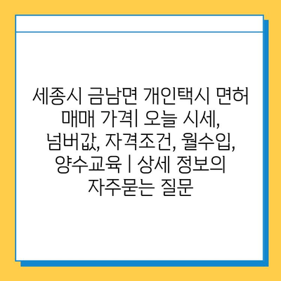 세종시 금남면 개인택시 면허 매매 가격| 오늘 시세, 넘버값, 자격조건, 월수입, 양수교육 | 상세 정보