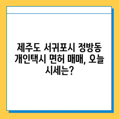 제주도 서귀포시 정방동 개인택시 면허 매매 가격| 오늘 시세 확인 & 자격조건/월수입/양수교육 정보 | 번호판, 넘버값