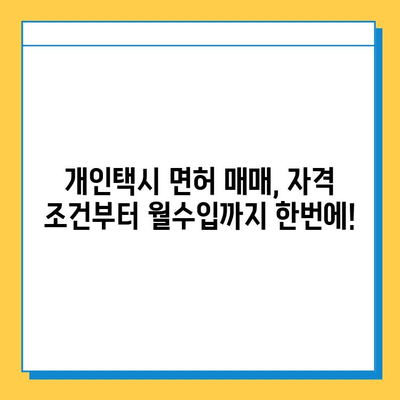 제주도 서귀포시 정방동 개인택시 면허 매매 가격| 오늘 시세 확인 & 자격조건/월수입/양수교육 정보 | 번호판, 넘버값