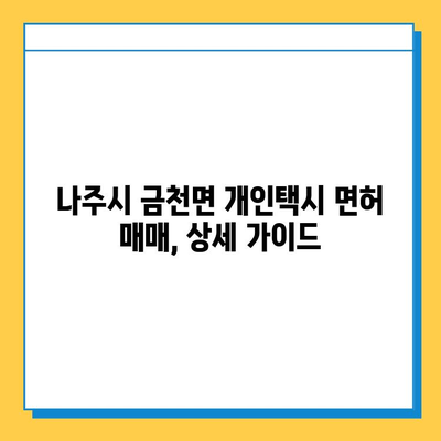 전라남도 나주시 금천면 개인택시 면허 매매 가격| 오늘 시세, 넘버값, 자격조건, 월수입, 양수교육 | 상세 가이드