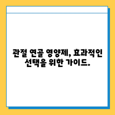 부모님 건강 선물, 관절 연골 영양제 추천 가이드 | 부모님 선물, 건강식품, 관절 건강, 연골 건강