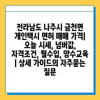 전라남도 나주시 금천면 개인택시 면허 매매 가격| 오늘 시세, 넘버값, 자격조건, 월수입, 양수교육 | 상세 가이드