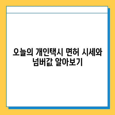 전라북도 임실군 신덕면 개인택시 면허 매매 가격| 오늘 시세, 넘버값, 자격조건, 월수입, 양수교육 | 상세 정보 |