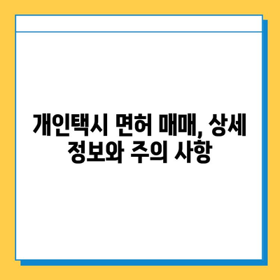 전라북도 임실군 신덕면 개인택시 면허 매매 가격| 오늘 시세, 넘버값, 자격조건, 월수입, 양수교육 | 상세 정보 |