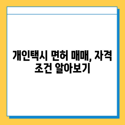 인천 미추홀구 용현2동 개인택시 면허 매매 가격| 오늘 시세 확인 & 자격조건 | 월수입 | 양수교육