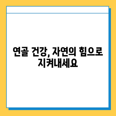 식물의 힘| 연골 건강 지키는 7가지 식물 | 연골 관리, 관절 건강, 자연 치유, 식물 추천