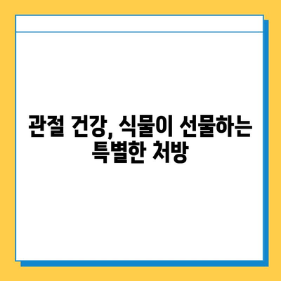 식물의 힘| 연골 건강 지키는 7가지 식물 | 연골 관리, 관절 건강, 자연 치유, 식물 추천