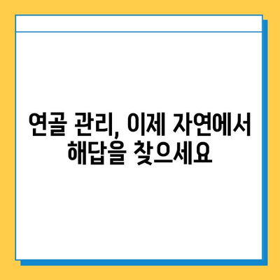 식물의 힘| 연골 건강 지키는 7가지 식물 | 연골 관리, 관절 건강, 자연 치유, 식물 추천