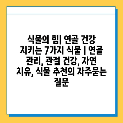 식물의 힘| 연골 건강 지키는 7가지 식물 | 연골 관리, 관절 건강, 자연 치유, 식물 추천