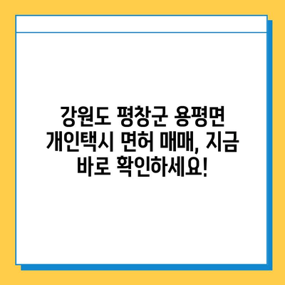 강원도 평창군 용평면 개인택시 면허 매매 가격| 오늘 시세 확인 및 양수 교육 정보 | 번호판, 넘버값, 자격조건, 월수입