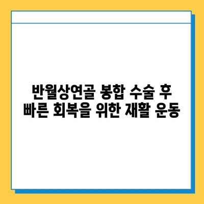 반월상연골 파열 봉합 수술 후, 성공적인 재활을 위한 완벽 가이드 | 재활 운동, 주의 사항, 회복 기간