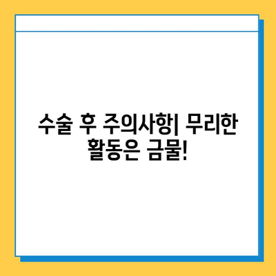 반월상연골 파열 봉합 수술 후, 성공적인 재활을 위한 완벽 가이드 | 재활 운동, 주의 사항, 회복 기간