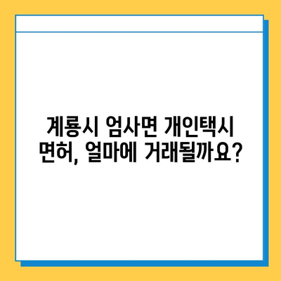 충청남도 계룡시 엄사면 개인택시 면허 매매 가격 & 시세 정보 | 오늘 기준 | 넘버값 | 자격조건 | 월수입 | 양수교육