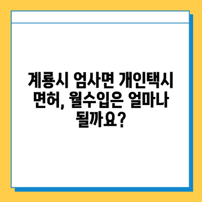 충청남도 계룡시 엄사면 개인택시 면허 매매 가격 & 시세 정보 | 오늘 기준 | 넘버값 | 자격조건 | 월수입 | 양수교육