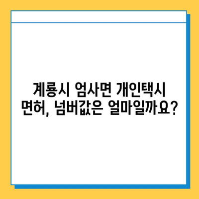 충청남도 계룡시 엄사면 개인택시 면허 매매 가격 & 시세 정보 | 오늘 기준 | 넘버값 | 자격조건 | 월수입 | 양수교육