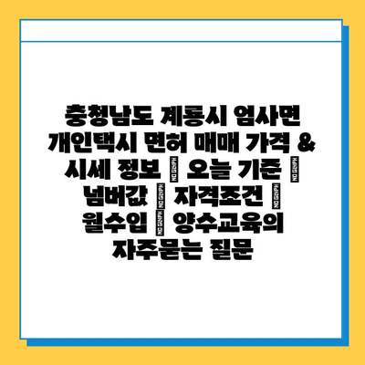 충청남도 계룡시 엄사면 개인택시 면허 매매 가격 & 시세 정보 | 오늘 기준 | 넘버값 | 자격조건 | 월수입 | 양수교육