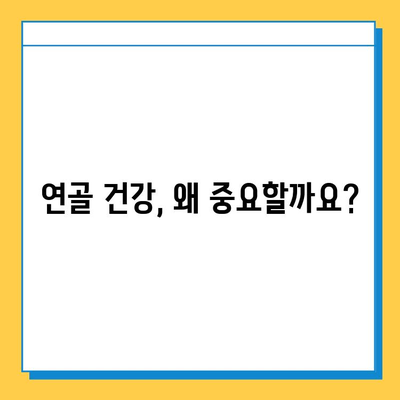 관절 연골 건강 지키기| 연골영양제 선택 가이드 & 섭취 후 효과 확인 | 관절 건강, 연골 재생, 영양제 추천, 섭취 방법