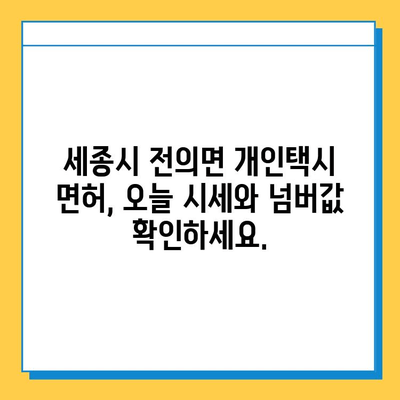 세종시 전의면 개인택시 면허 매매 가격| 오늘 시세, 넘버값, 자격조건, 월수입, 양수교육 | 상세 정보