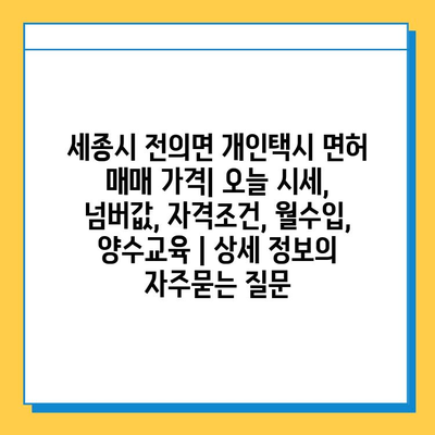 세종시 전의면 개인택시 면허 매매 가격| 오늘 시세, 넘버값, 자격조건, 월수입, 양수교육 | 상세 정보