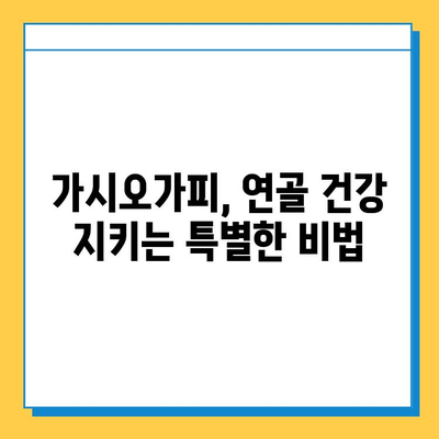 가시오가피순 효능| 연골 건강 지키는 특별한 비법 | 관절 건강, 연골 관리, 가시오가피 추출물