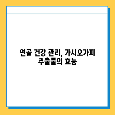 가시오가피순 효능| 연골 건강 지키는 특별한 비법 | 관절 건강, 연골 관리, 가시오가피 추출물