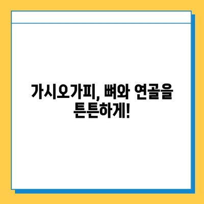 가시오가피순 효능| 연골 건강 지키는 특별한 비법 | 관절 건강, 연골 관리, 가시오가피 추출물