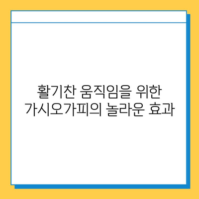 가시오가피순 효능| 연골 건강 지키는 특별한 비법 | 관절 건강, 연골 관리, 가시오가피 추출물