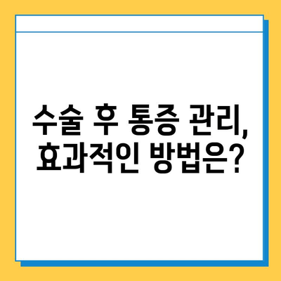 연골 임플란트 수술 후 통증 완화를 위한 재활 가이드 | 연골 재생, 통증 관리, 운동법, 재활 치료