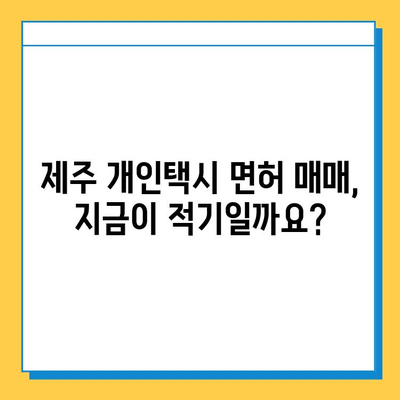 제주도 제주시 건입동 개인택시 면허 매매 가격| 오늘 시세 확인 및 양수 교육 정보 | 번호판 가격, 자격 조건, 월 수입