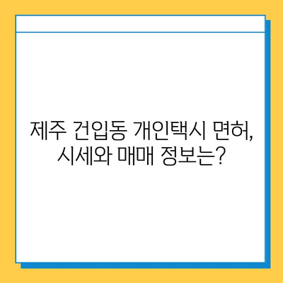 제주도 제주시 건입동 개인택시 면허 매매 가격| 오늘 시세 확인 및 양수 교육 정보 | 번호판 가격, 자격 조건, 월 수입