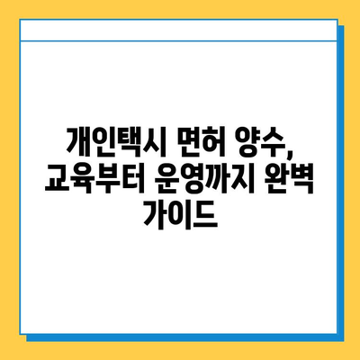 제주도 제주시 건입동 개인택시 면허 매매 가격| 오늘 시세 확인 및 양수 교육 정보 | 번호판 가격, 자격 조건, 월 수입