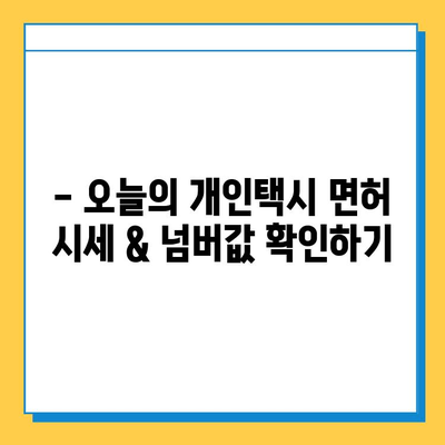 대전 유성구 온천1동 개인택시 면허 매매 가격| 오늘 시세 & 넘버값 | 자격조건, 월수입, 양수교육