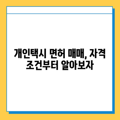 광주 광산구 수완동 개인택시 면허 매매 가격| 오늘 시세 확인 & 자격조건/월수입/양수교육 정보 | 넘버값, 번호판