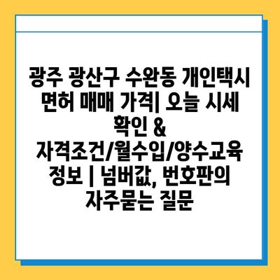 광주 광산구 수완동 개인택시 면허 매매 가격| 오늘 시세 확인 & 자격조건/월수입/양수교육 정보 | 넘버값, 번호판