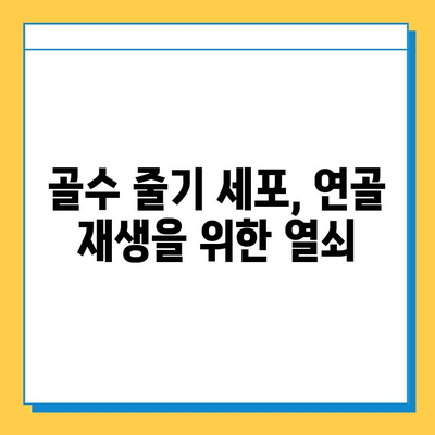 골수 줄기 세포 주사, 연골 연화증 치료에 효과적인가요? | 연골 연화증, 줄기세포 치료, 골수 줄기 세포